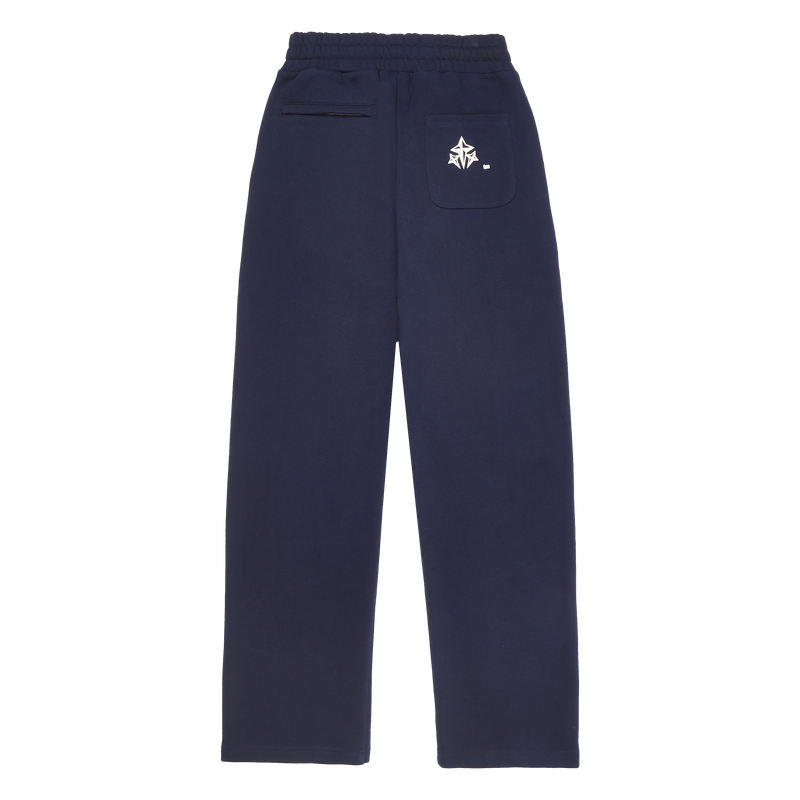 Eternal Compass navy logo pant